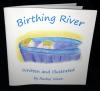 Childrens Homebirth Book